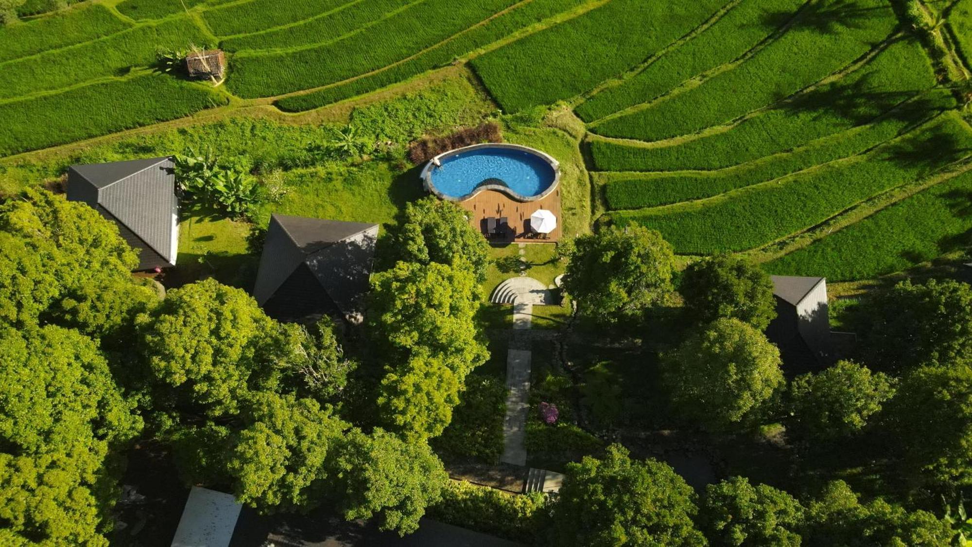 Mayura Bali Villa Munduk Exterior foto