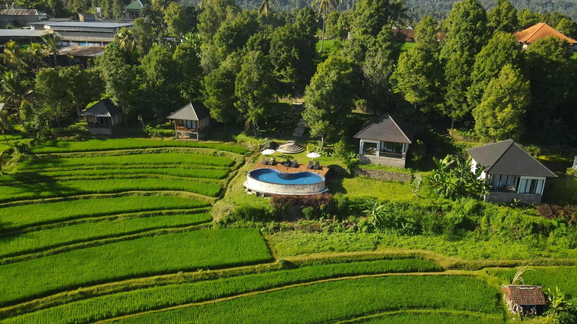 Mayura Bali Villa Munduk Exterior foto